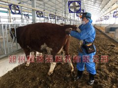 眼肌面积测定仪对肉牛产肉性能指标及测定方法