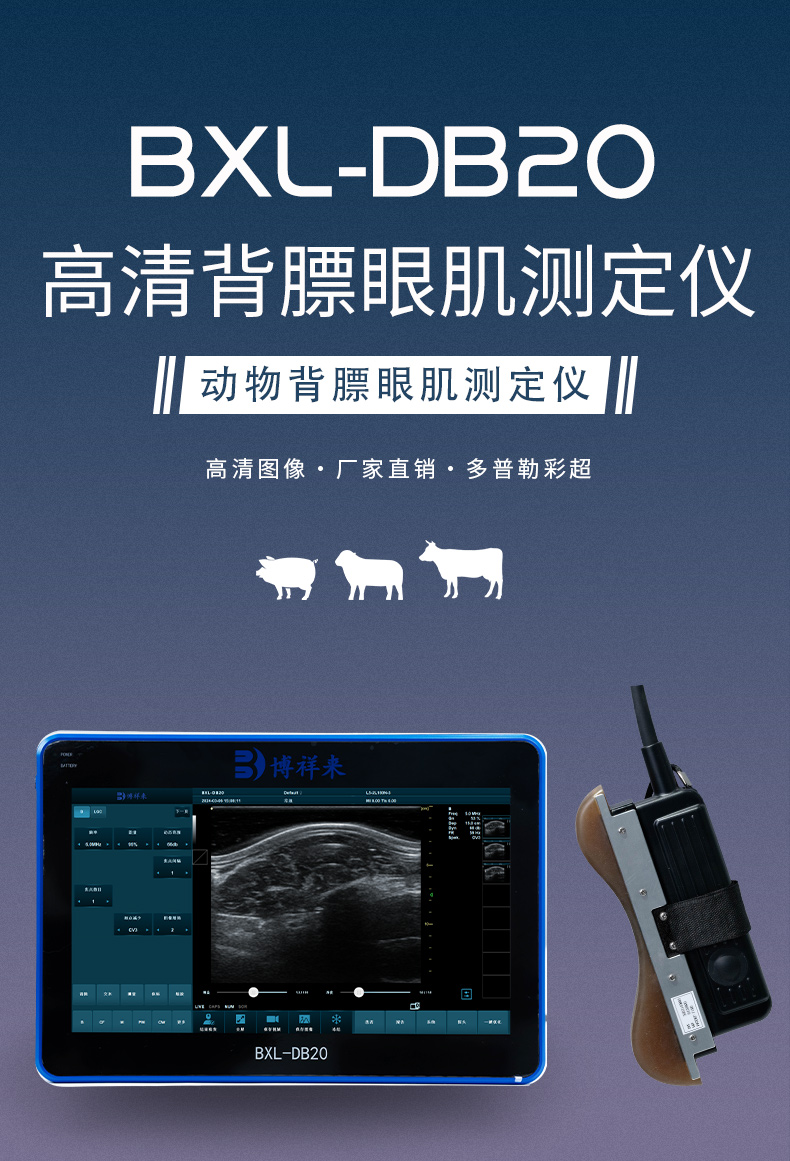 BXL-DB20-背膘眼肌详情页_01.jpg