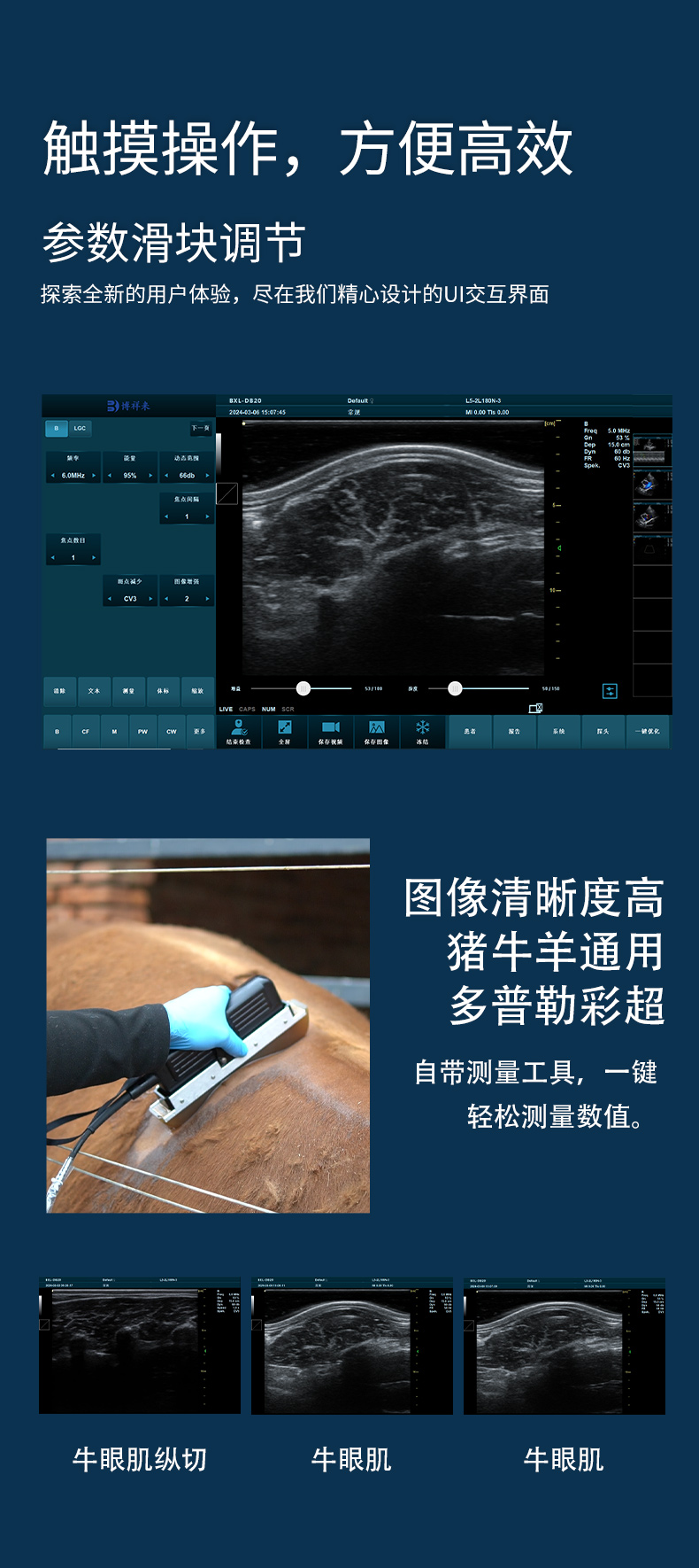 BXL-DB20-背膘眼肌详情页_05.jpg