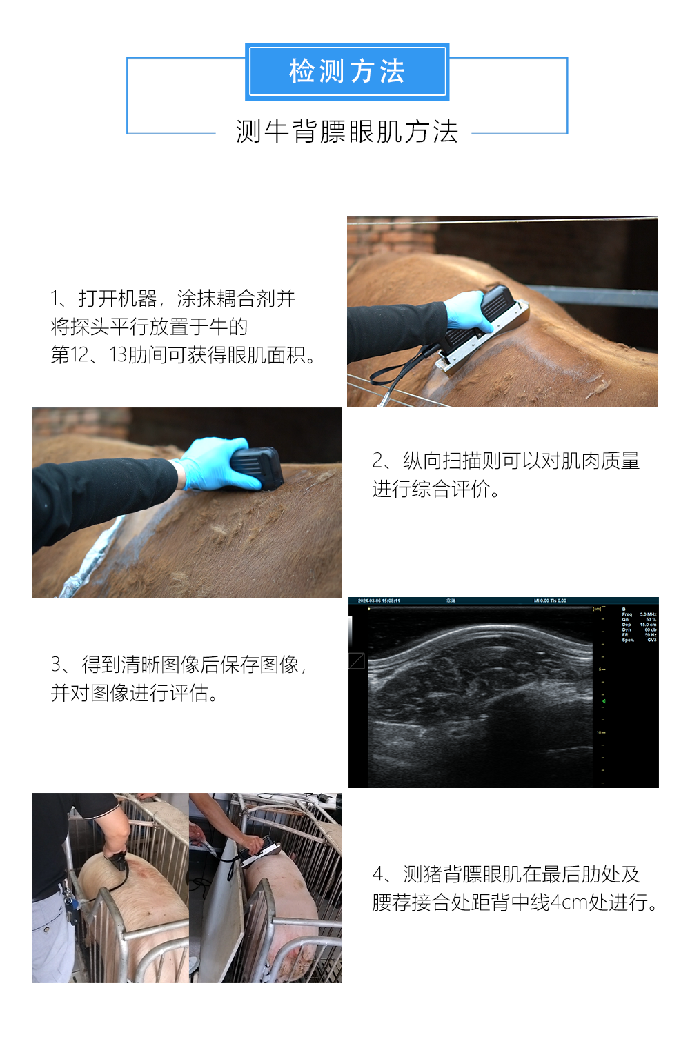 背膘眼肌测定仪操作演示