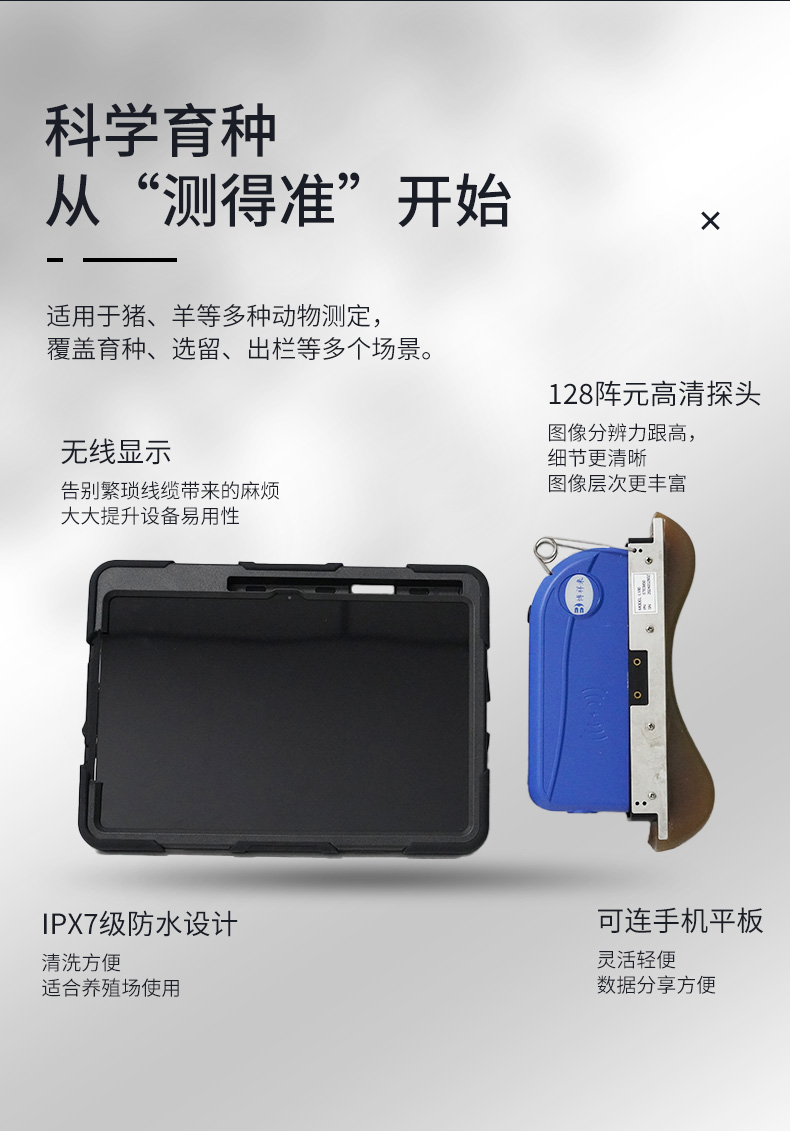 BXL-S305-详情图_05.jpg