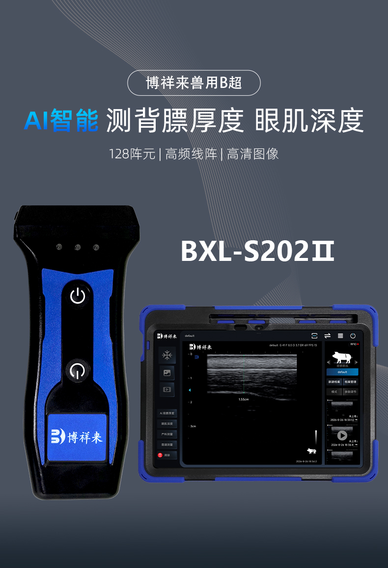 BXL-S202Ⅱ详情页_01.jpg