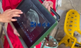 培训广西农垦使用BXL-DZ20测猪背膘眼肌面积