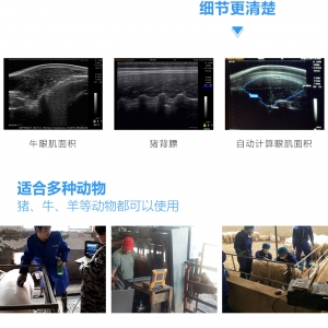 背膘仪与背膘眼肌面积测定仪的区别