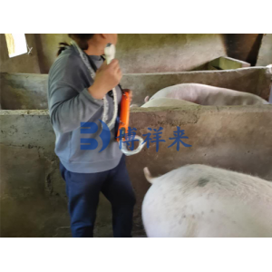 猪用B超机测母猪卵泡发育的好处