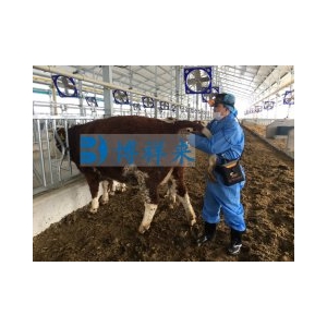 进口背膘仪EVO辅助牛肉大理石花纹评级