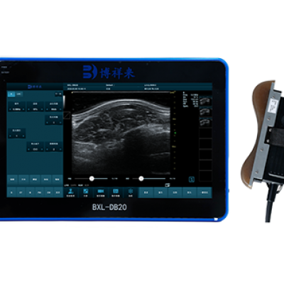 猪牛羊背膘眼肌面积测定仪 BXL-DB20