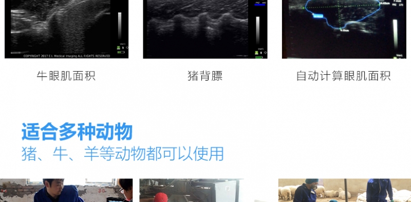 背膘仪与背膘眼肌面积测定仪的区别