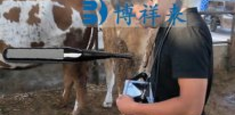 背膘仪在牛胴体眼肌图像分割中的应用