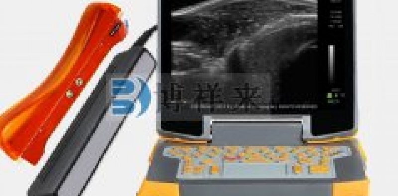 眼肌面积测定仪背膘厚对后备母猪繁殖性能的影响