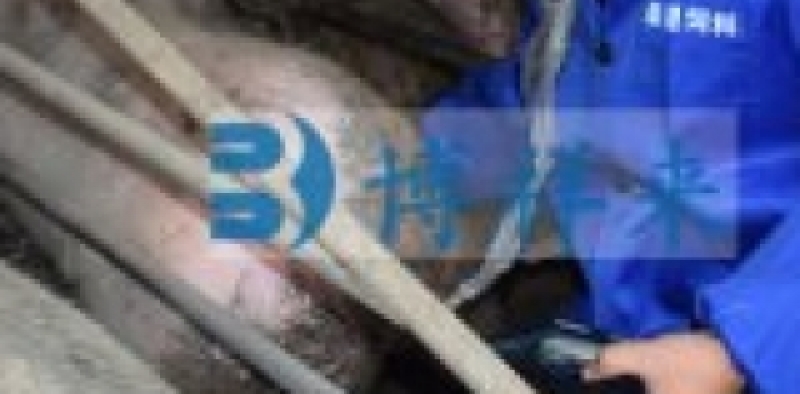进口背膘仪检测母猪背膘注意事项