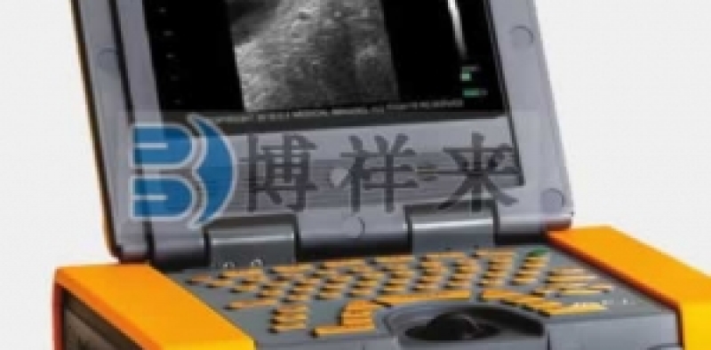 背膘仪的使用方法